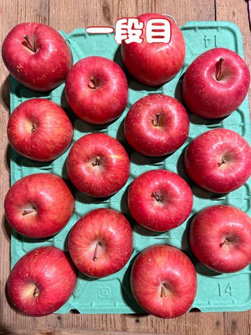 青森県産りんご サンふじ贈答用10kg