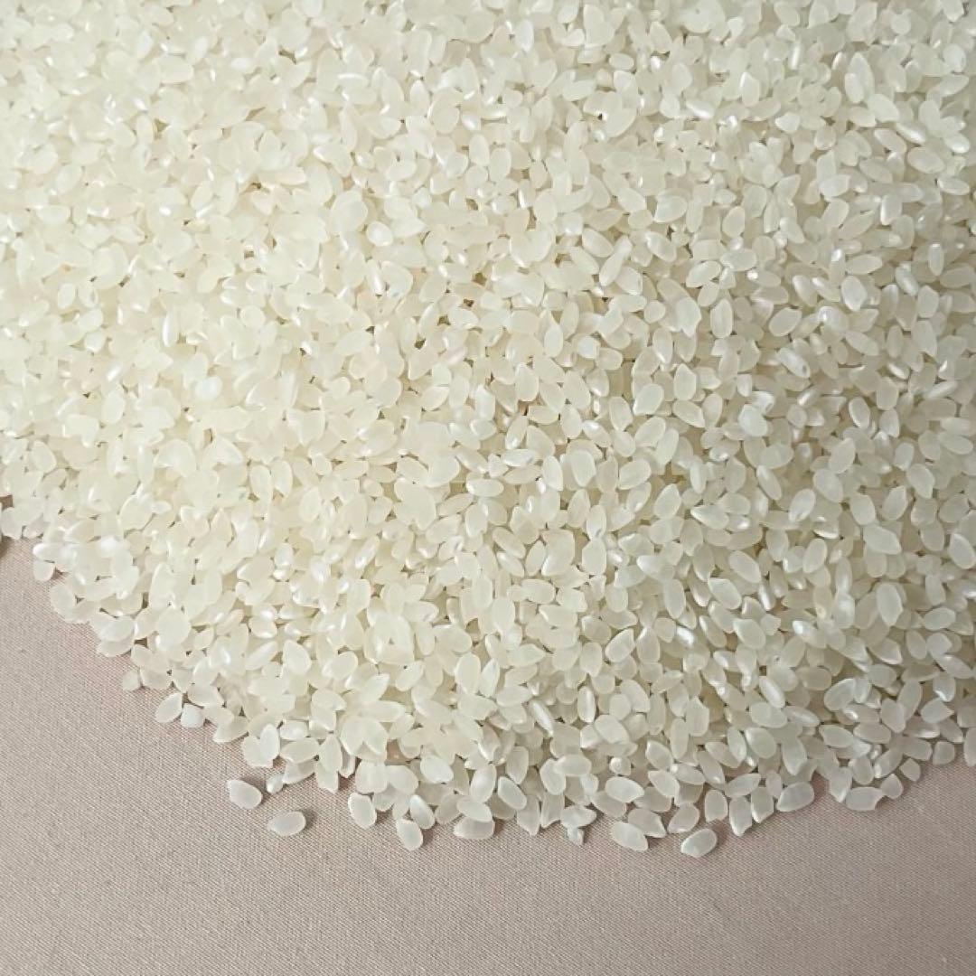 コシヒカリ精米10kg(南魚沼産)