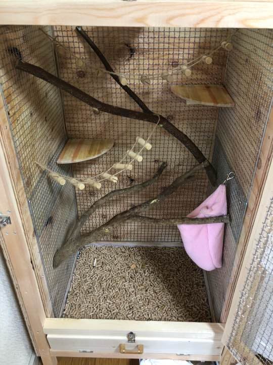 モモンガ ゲージ 小動物