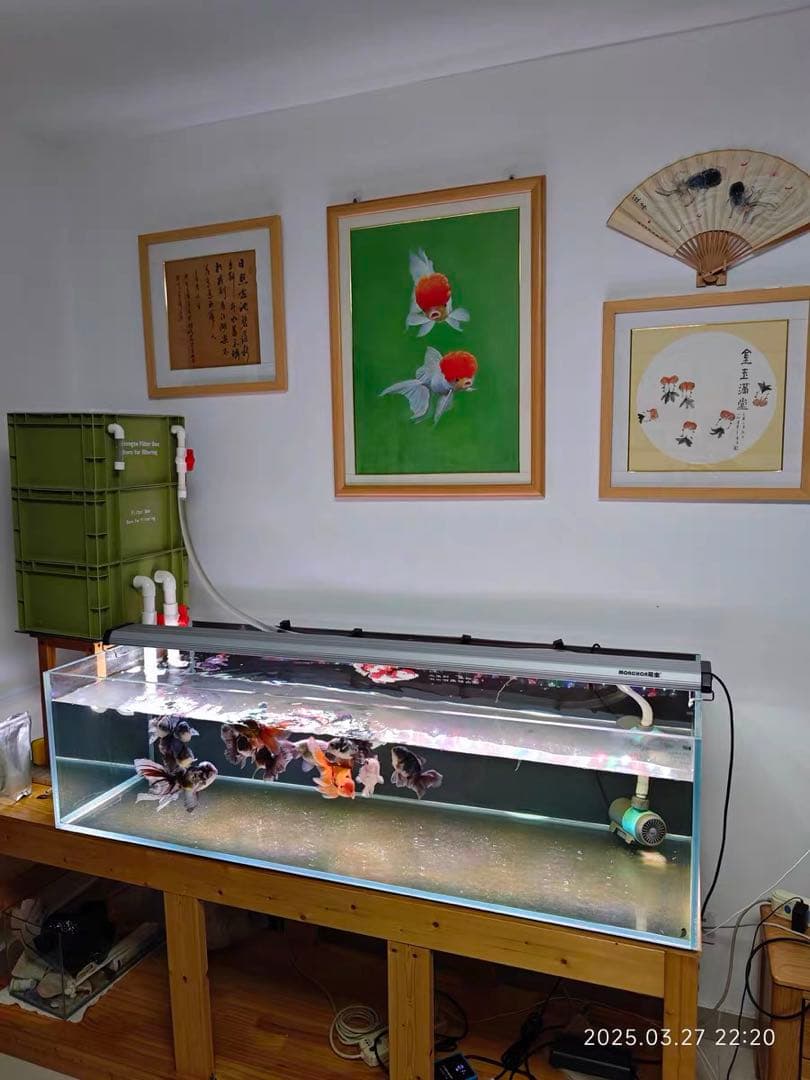 45w水中ポンプ付き大型水槽用万能フィルター 外部式飼育濾過器装置オーバーフロー