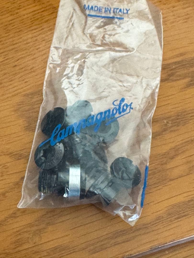 希少Campagnolo FC-SR100 クランクセット用ネジとボルト