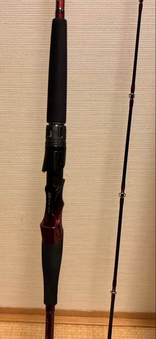 ダイワ リーディングMG 73MHー225MT