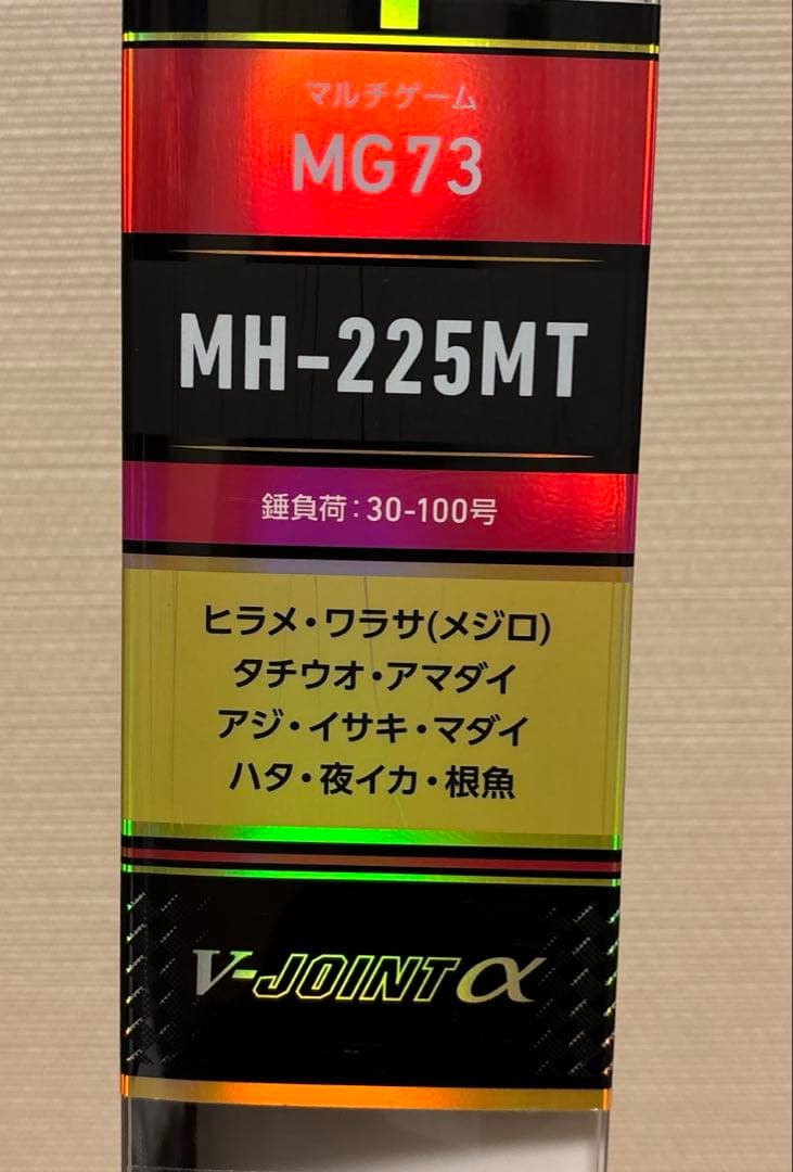 ダイワ リーディングMG 73MHー225MT