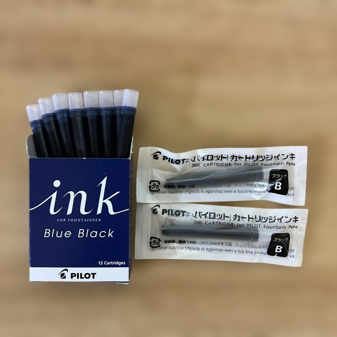 【美品・インク10本付】パイロット カスタム74 極細