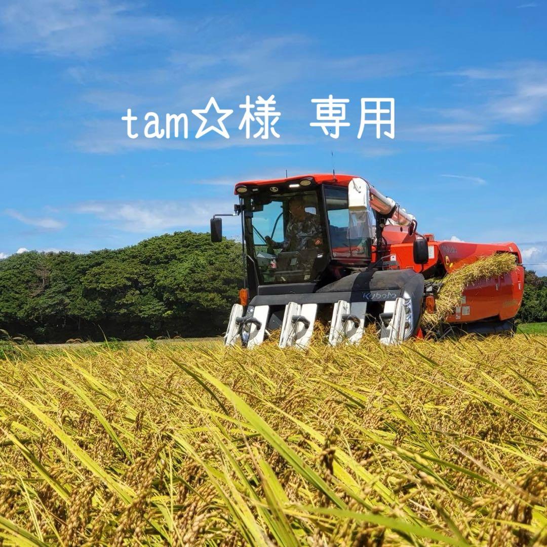 tam☆ れんげ白20kg