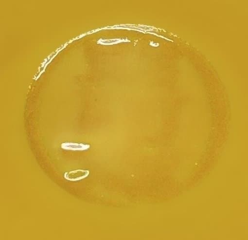 黄交趾 荒磯 一重口 水指