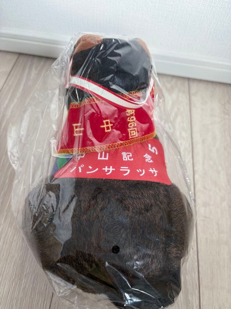 第90回中山記念　パンサラッサ