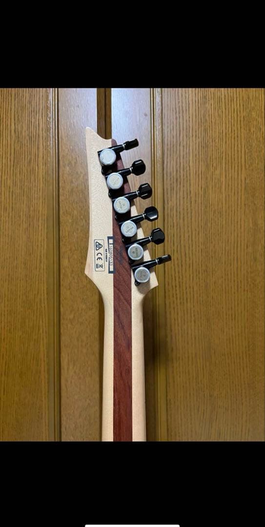 ギター Ibanez Iron Label EMG RGIR30BE