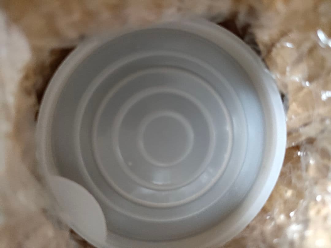 ロッキンジェリービーン GIRL LIKE RUMBLE ポスター