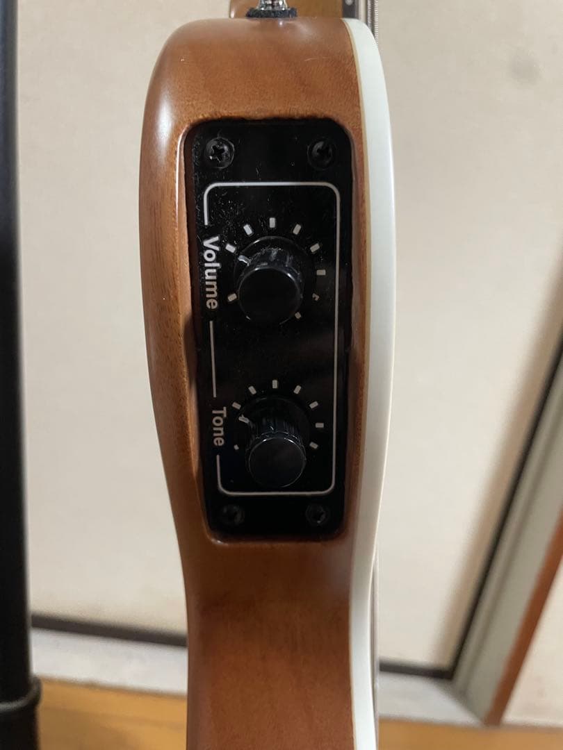 Grass Roots フレットレス　ベース