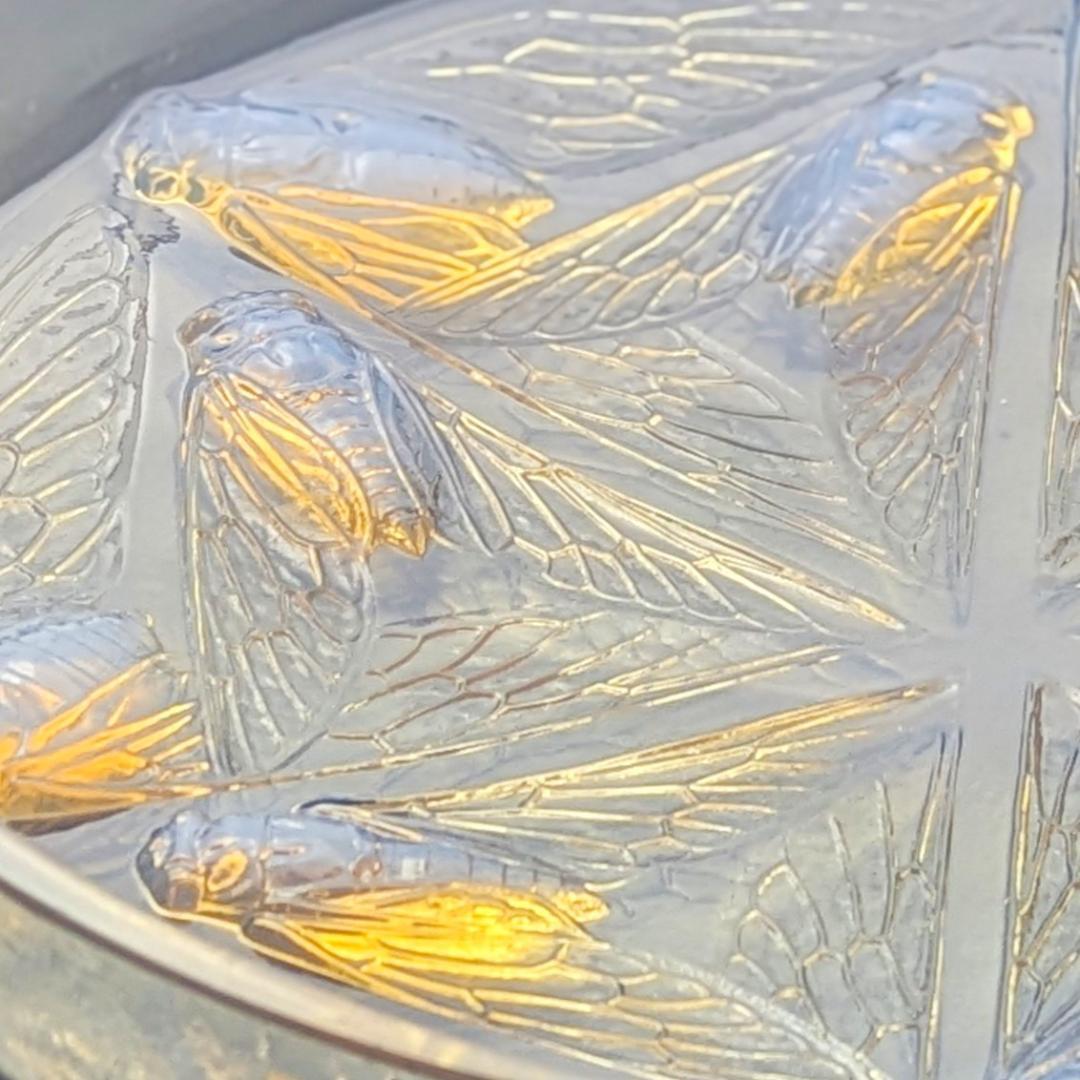 ラリックCigales 1921年セミ紋様26cm大蓋物 純正台座付　極希少