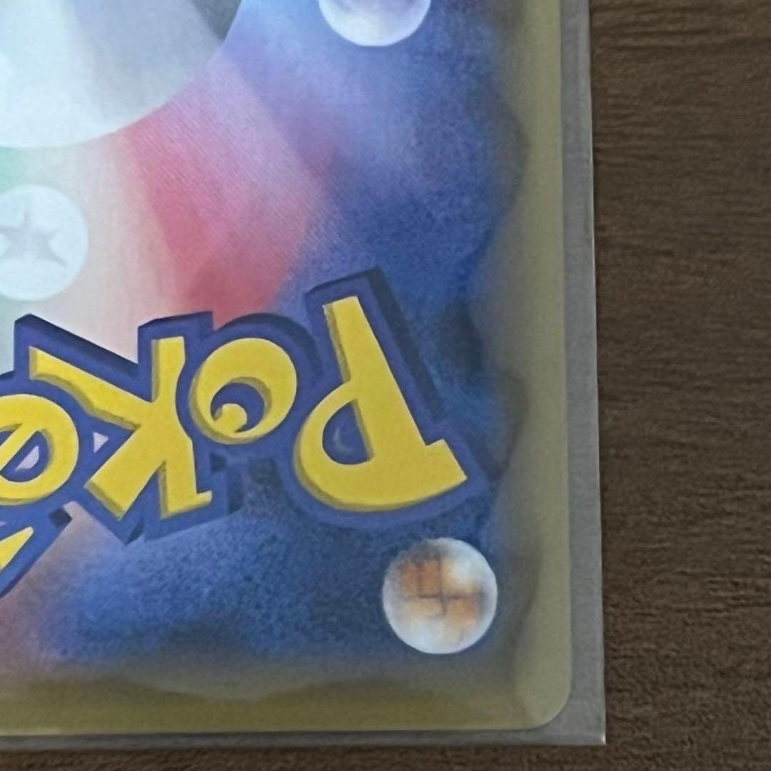 ポンチョを着たピカチュウ　黒　レックウザ