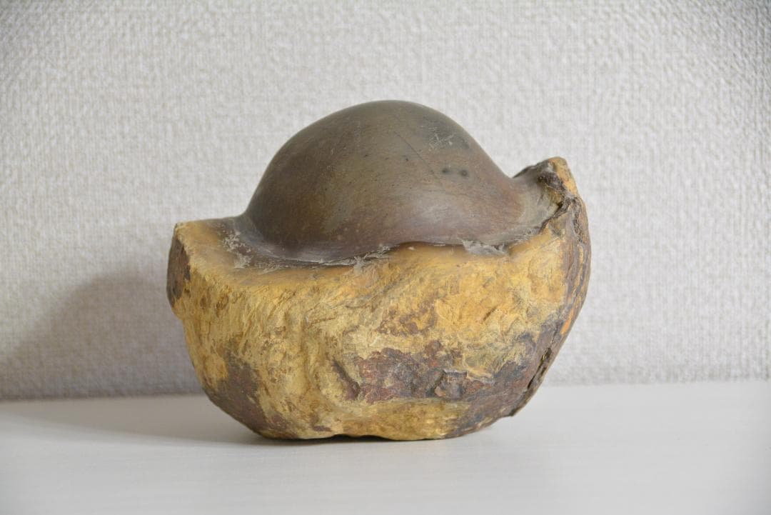 ●学術用●恐竜の卵 たまご 化石 標本 鑑賞石 ★本物