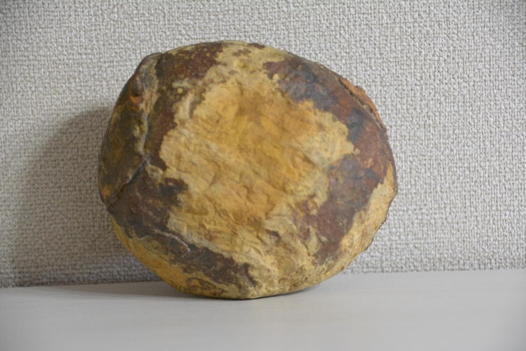 ●学術用●恐竜の卵 たまご 化石 標本 鑑賞石 ★本物