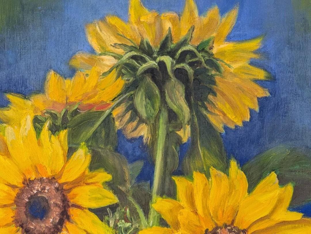 【真作】絵画　油彩6号　陽光に咲く向日葵たち　鮮烈な色彩　力強いタッチ　X145