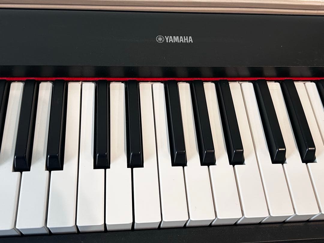 2021年製YAMAHA NP-12Bピアジェーロ