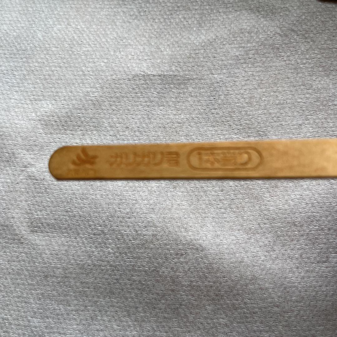 AKAGI ロゴ入り ガリガリ君 当たり棒2本