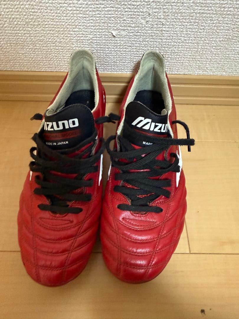 ✨希少✨モレリアネオ初代