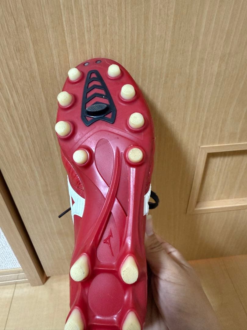 ✨希少✨モレリアネオ初代