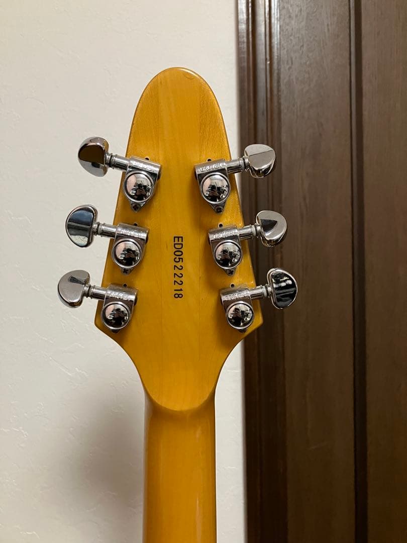 Edwards マローダータイプ　改造