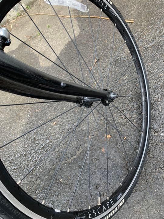 ジャイアント　エスケープ