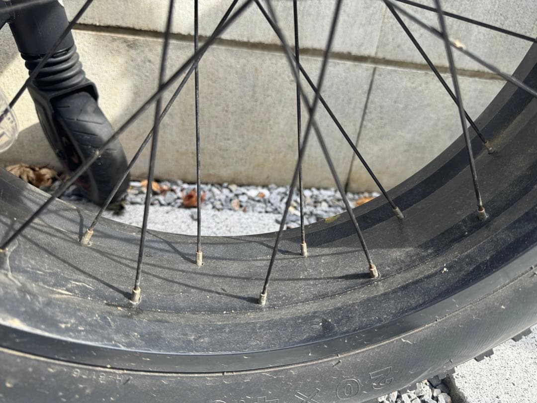 春セール【ファットバイク】BRONX 20インチ