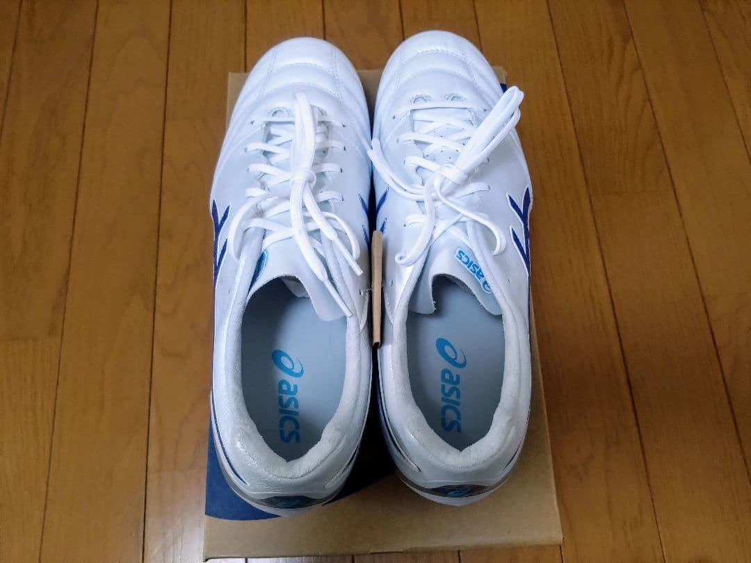 【新品】アシックス☆DSライト プロ☆DS LIGHT PRO　x-fly