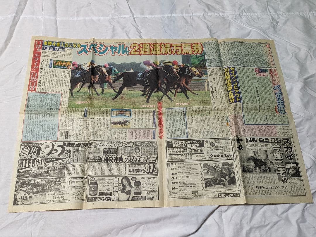 スペシャルウィーク　武豊　天皇賞秋　競走馬　写真　パネル　額縁　スポーツ新聞付き
