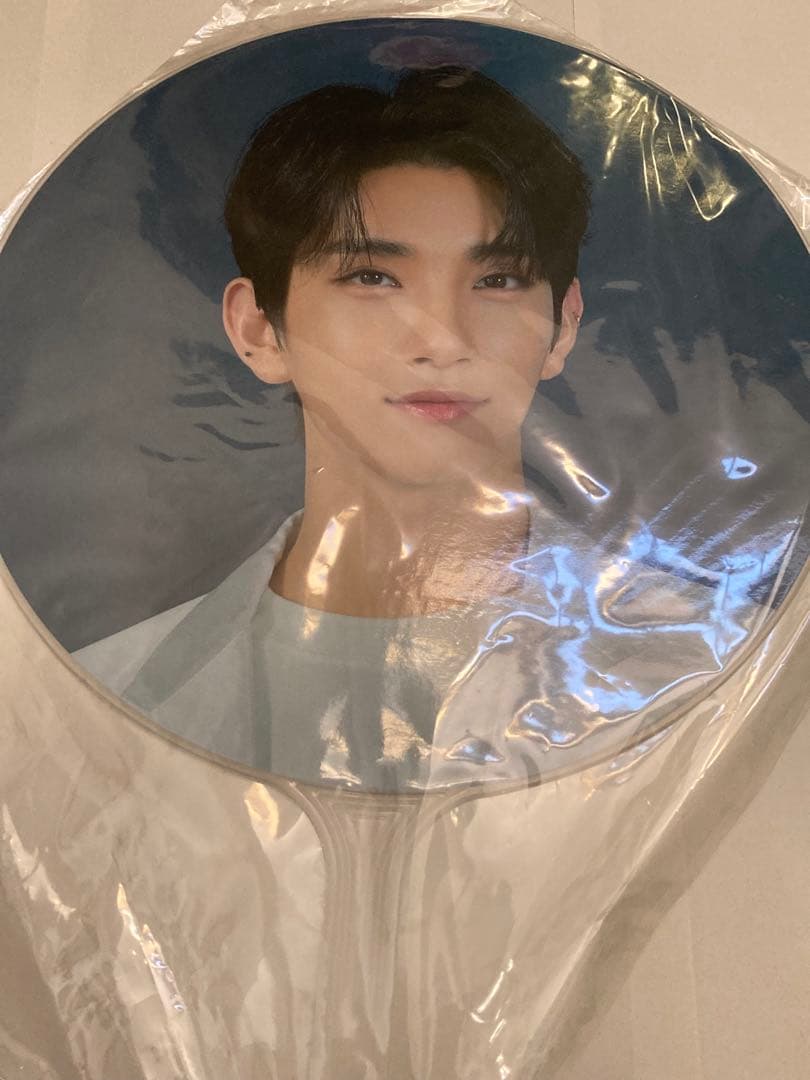 SEVENTEEN セブチ ジョシュア うちわ14枚セット まとめ売り