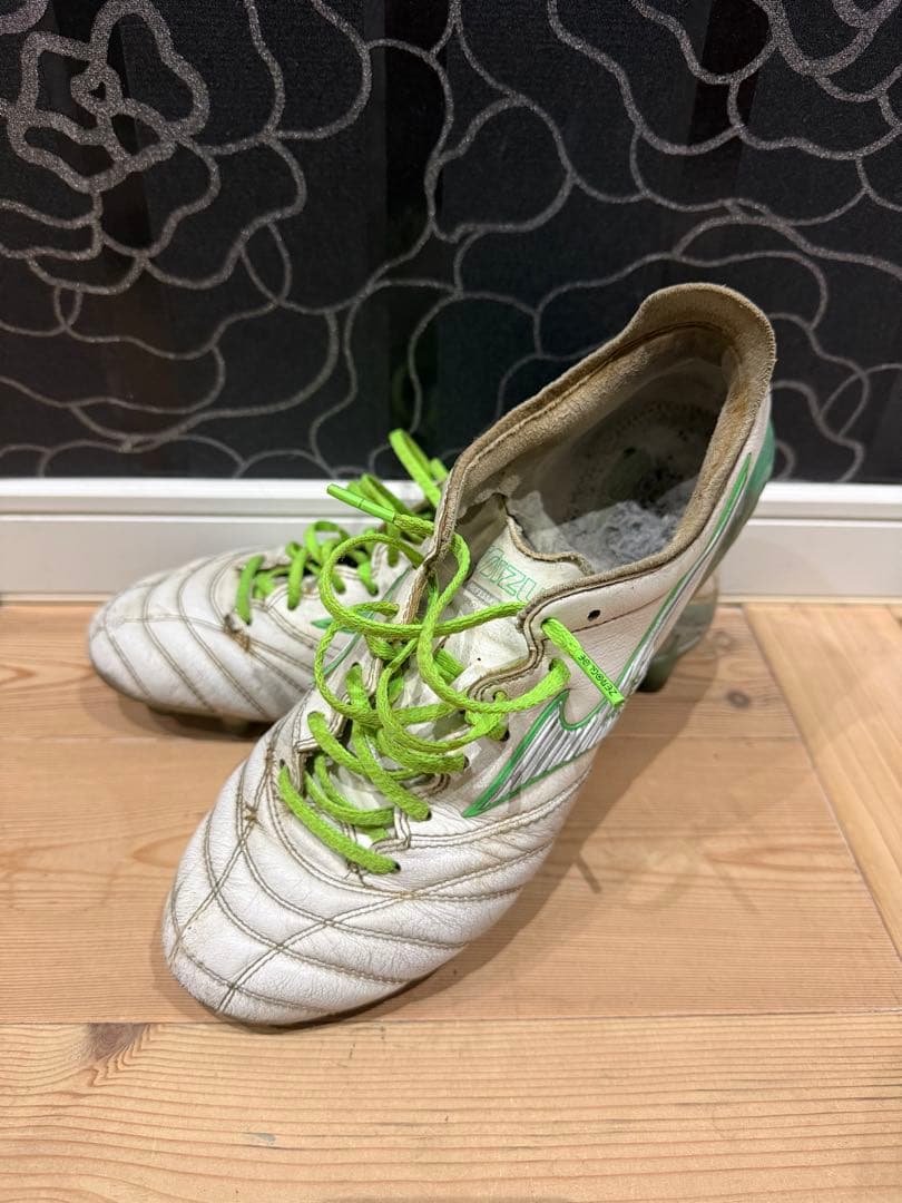 モレリアネオ3JAPAN 限定色 24.5