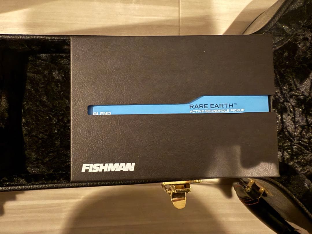 ギター breedlove American c25