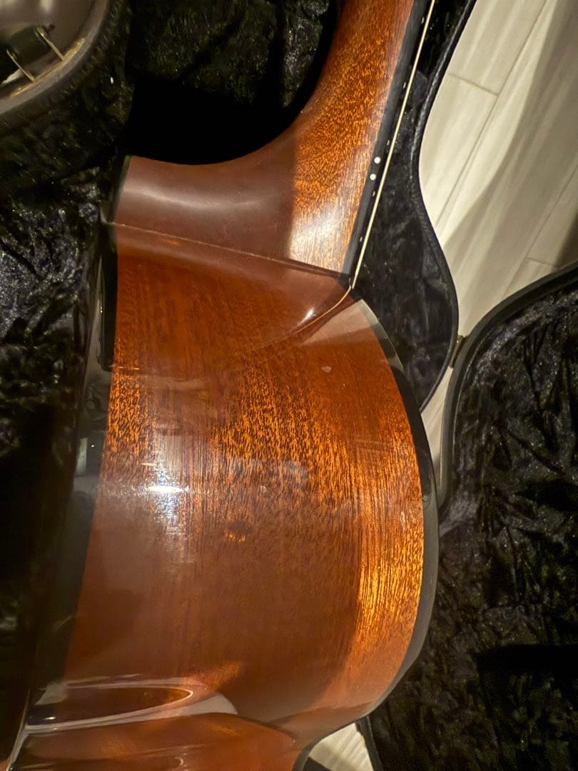 ギター breedlove American c25