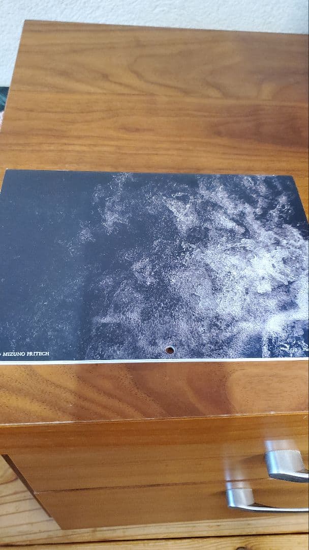 新政頒布会 最強陽乃鳥図鑑　 2025 ノベルティセット