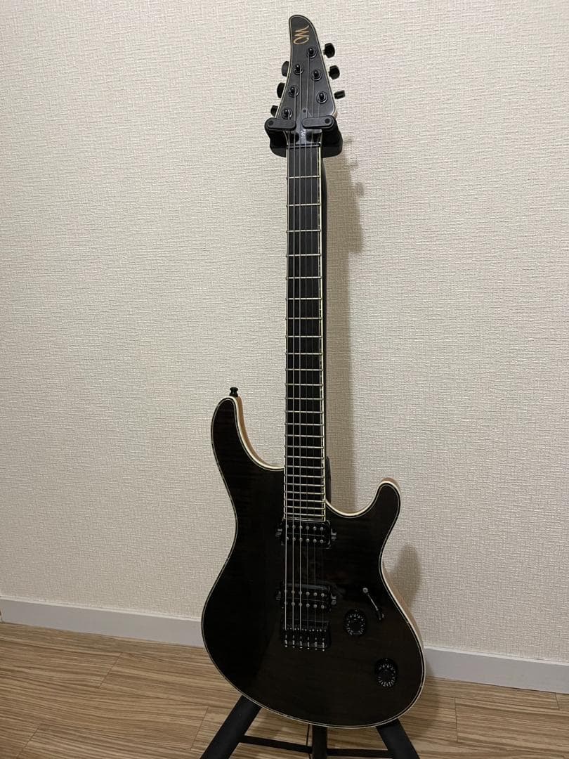 【HAL】Mayones regius6 ケース2種
