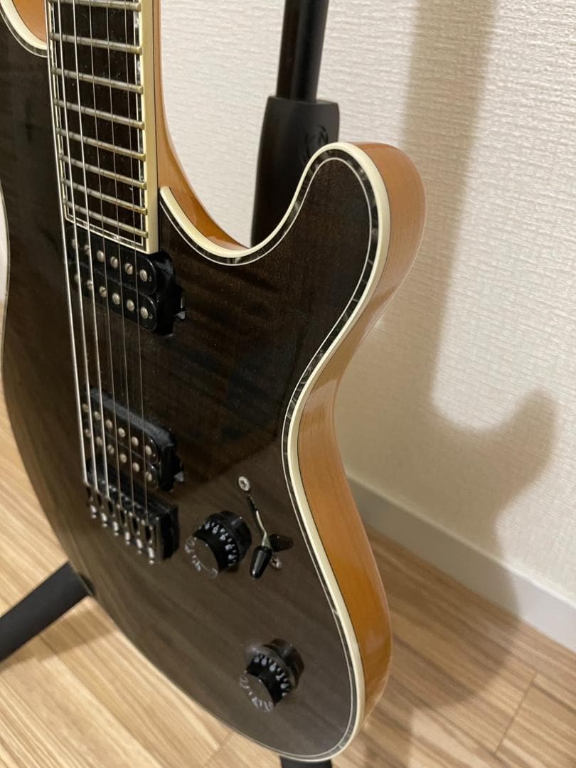 【HAL】Mayones regius6 ケース2種