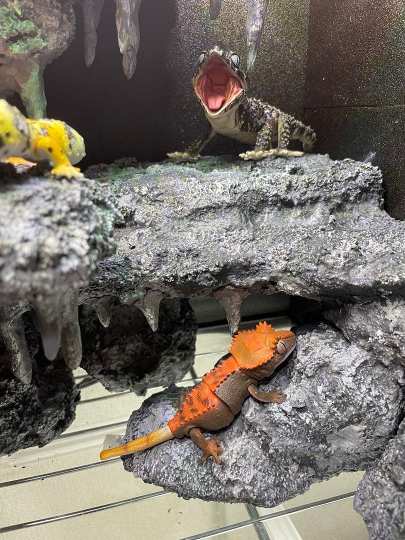 グラステラリウム　爬虫類レイアウト用品　爬虫類ケージ　爬虫類フルレイアウトケージ