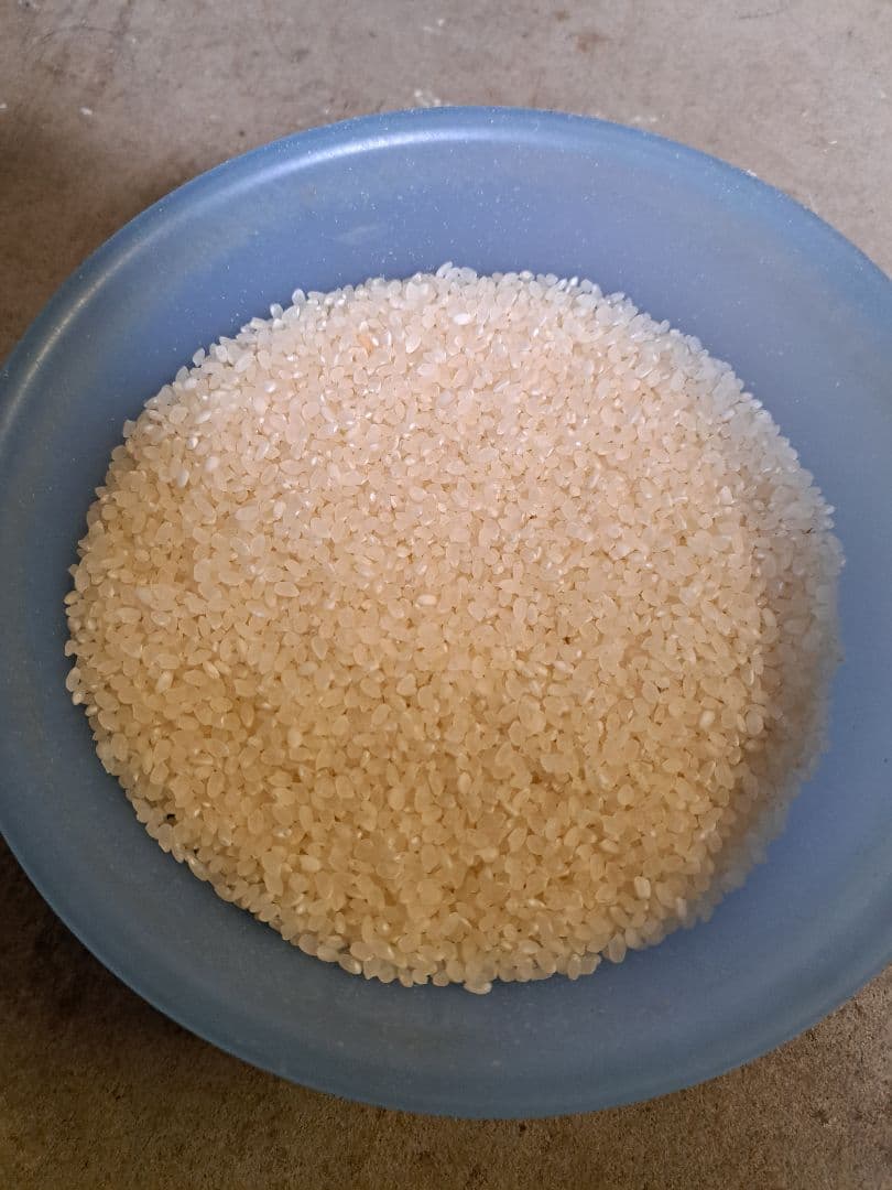 令和7年産　新米　魚沼産コシヒカリ　従来品種　5キロ×2 合計10キロ　白米