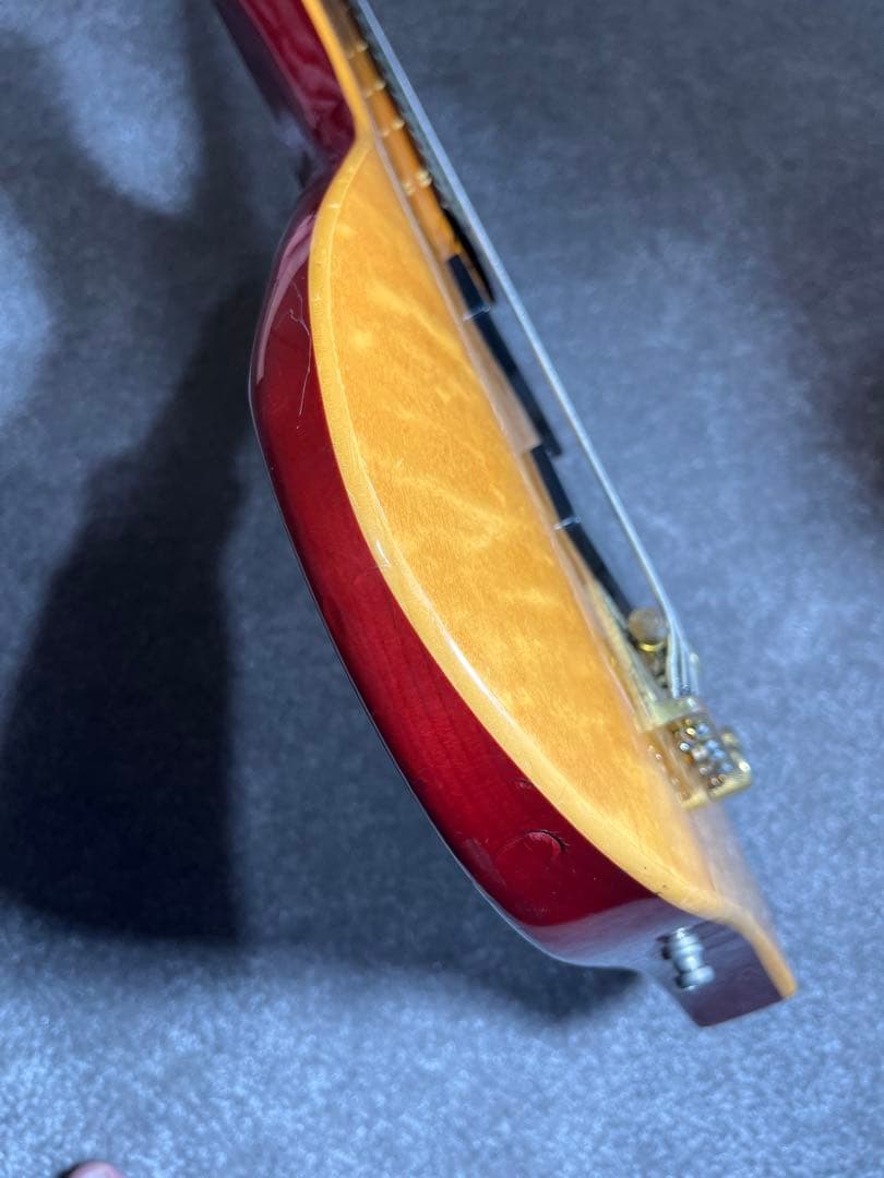 【tomo】EDWARDS E-T-98EL ラルクTETUYAモデル