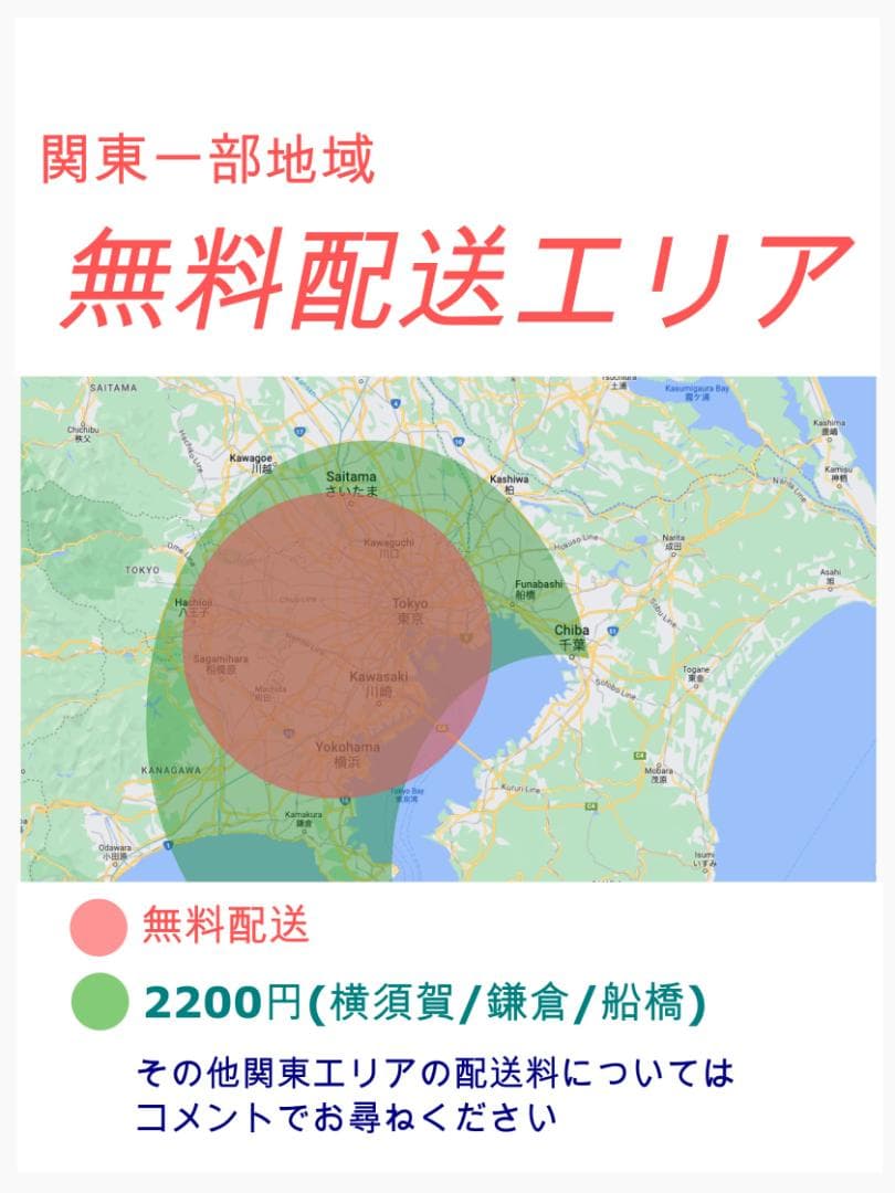 愛知静岡配送可 超人気色 ヤマハ パスキス子供乗せ電動アシスト自転車 H1015