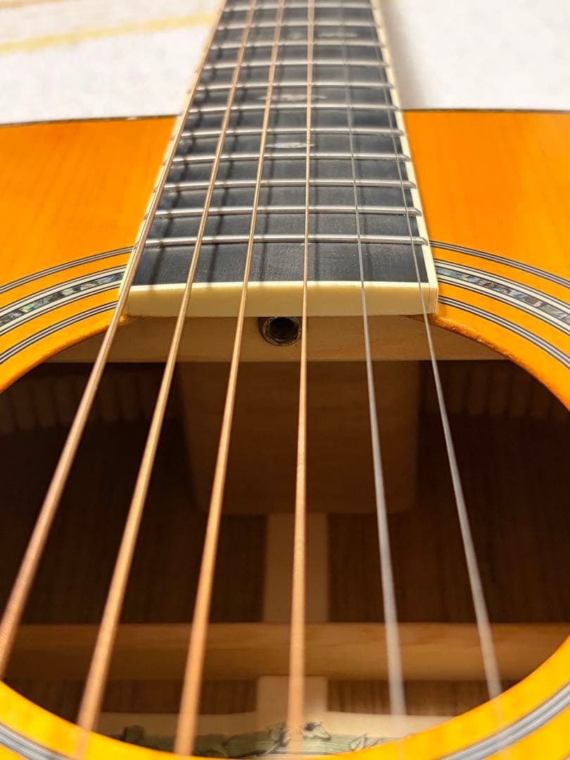 【新品】Three S W-460 スプルース単板 SUZUKI ソフトケース付