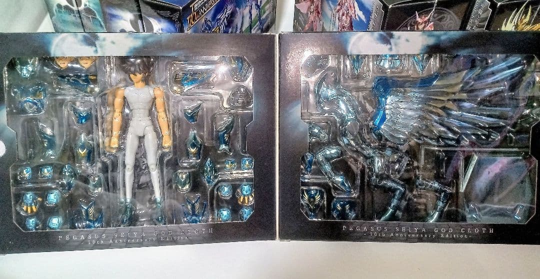 聖闘士聖衣神話 神聖衣 10thアニバーサリーエディション 星矢氷河紫龍瞬一輝