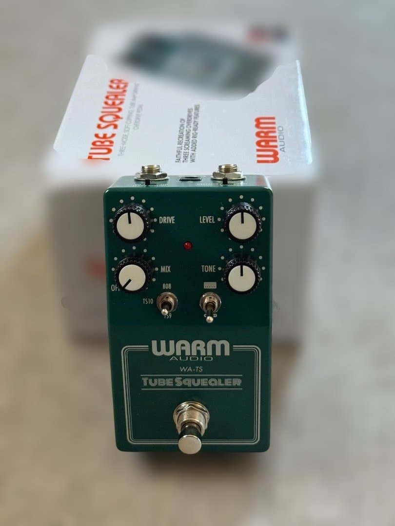 ギター WARM AUDIO / Tube Squealer