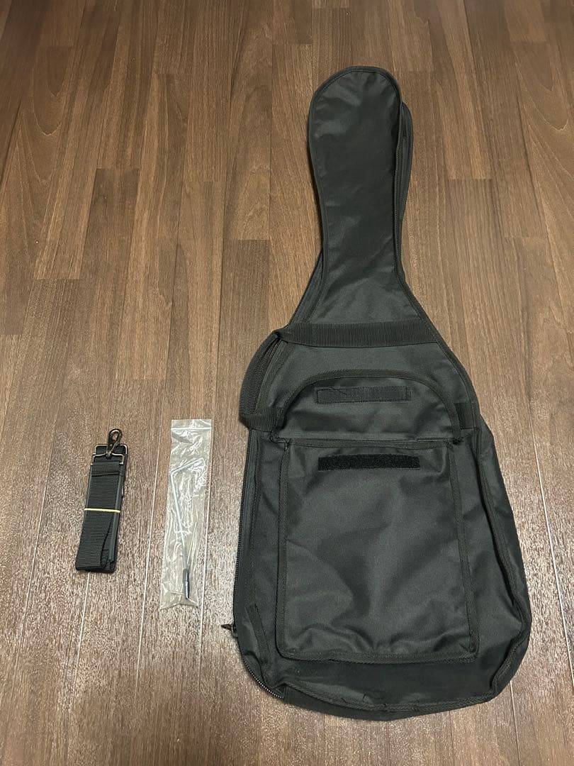 【美品】Aria Pro II 714-BLACK