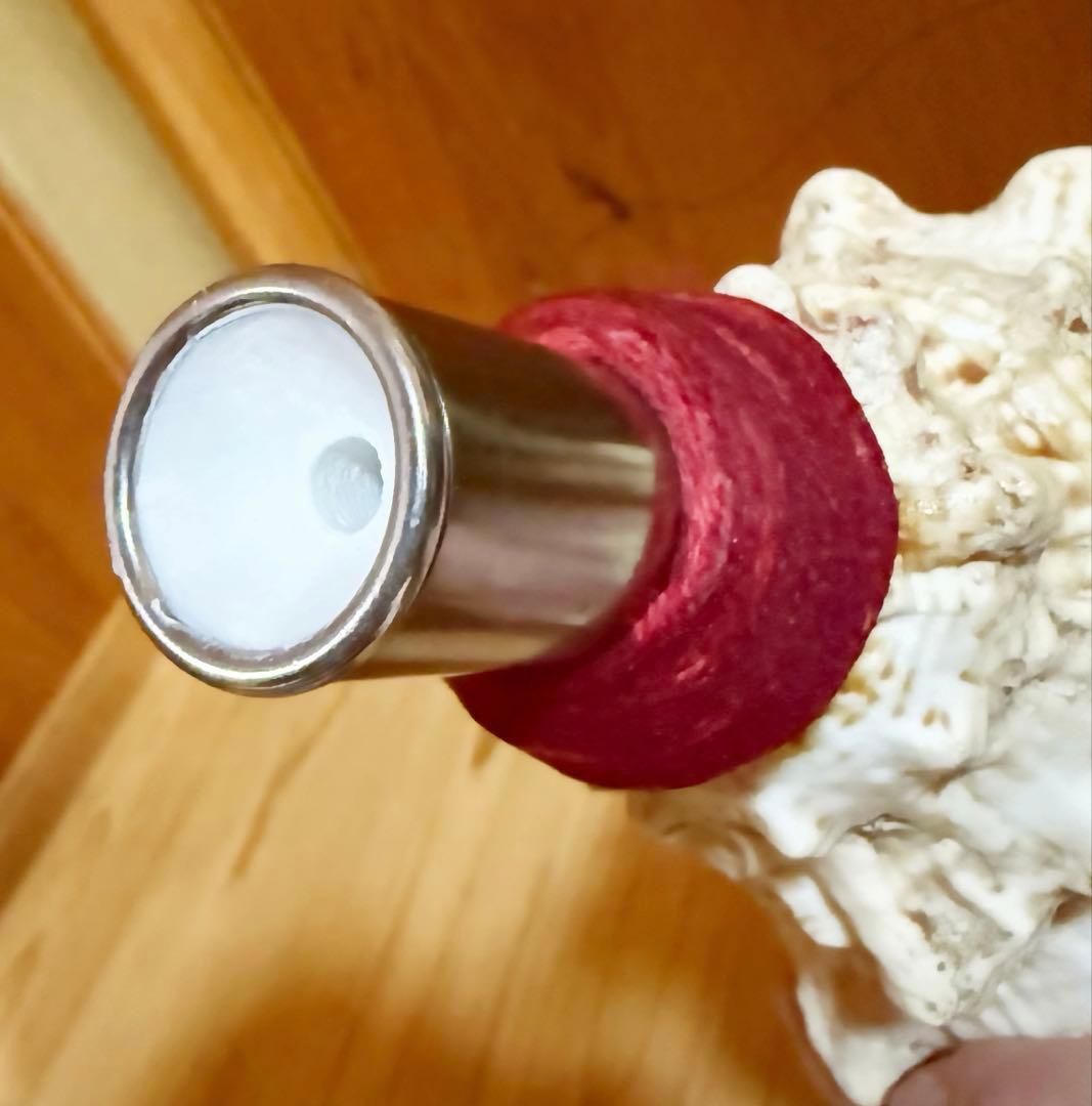 コンパクト肉厚　法螺貝　ほら貝　ホラガイ❣️