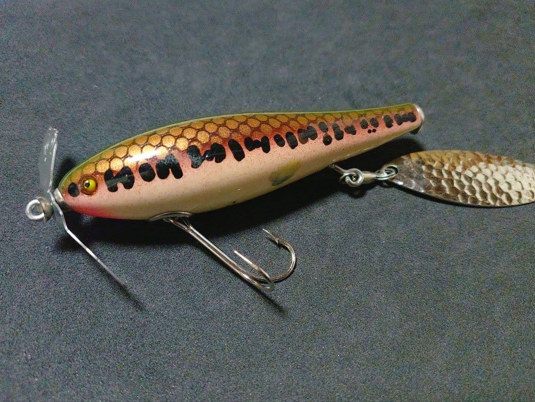 痴虫 小さい海馬95