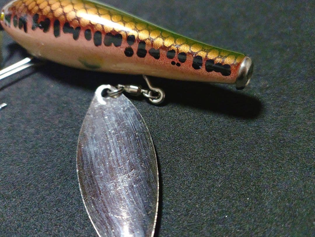 痴虫 小さい海馬95