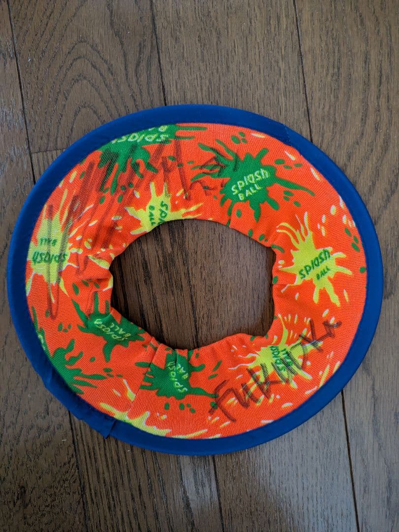 kara スンヨン　サイン入りフリスビー