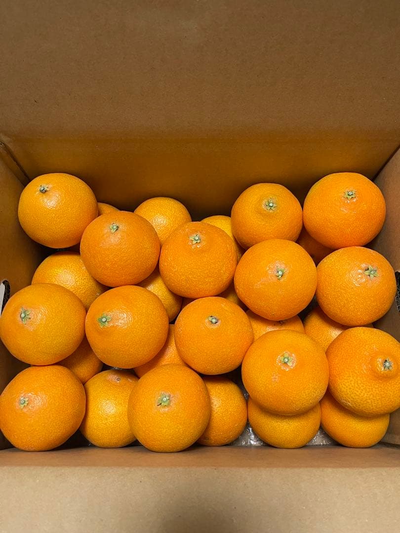 紅まどんな(5kgx2箱)⚠特選L玉