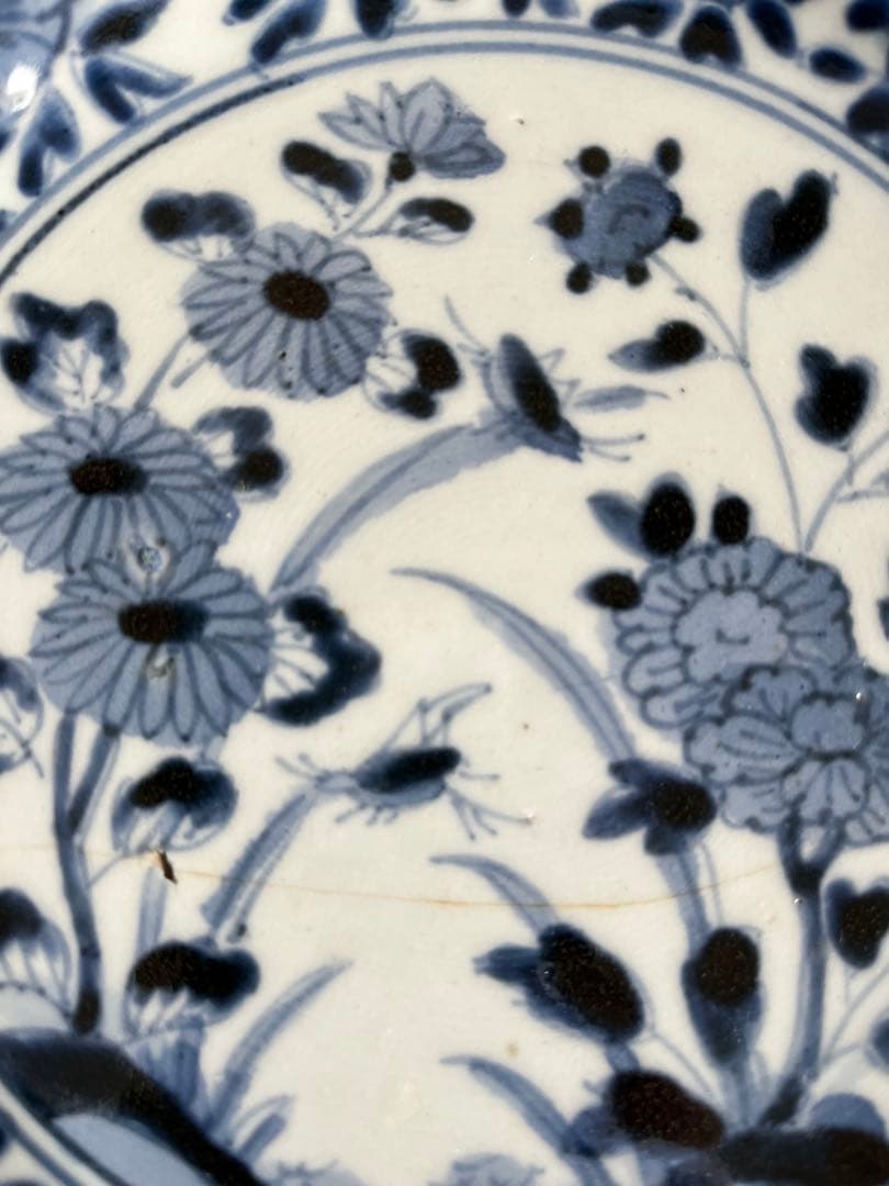 専用！古染付　桜　虫　菊　牡丹　花頭と、鳥の図芙蓉手古染付皿、合計２枚セット