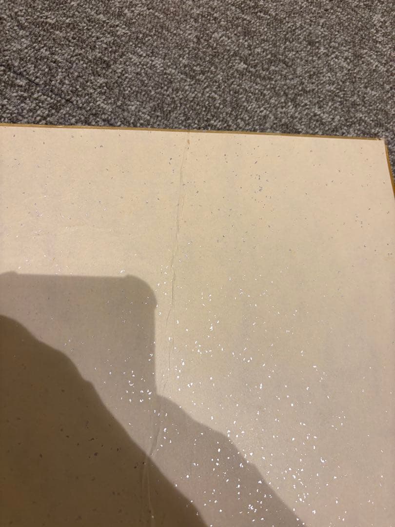 長嶋茂雄　直筆サイン色紙